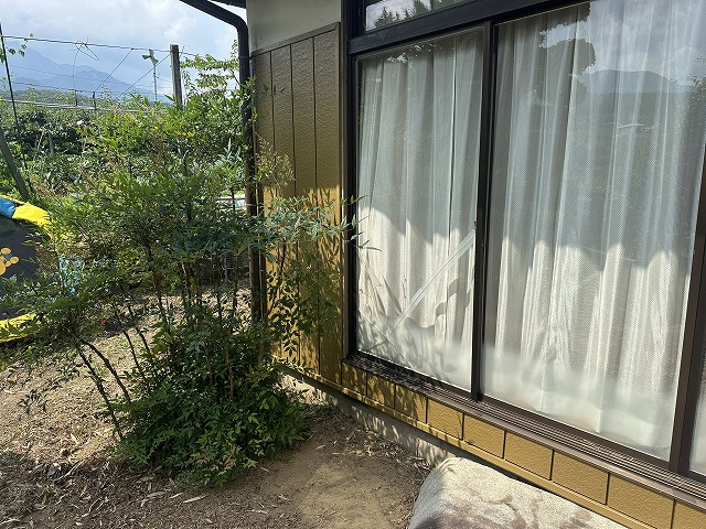 植栽脇の外壁仕上がり